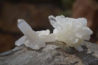 Natural Small Quartz Clusters  x 35 From Madagascar - Toprock Gemstones and Minerals 
