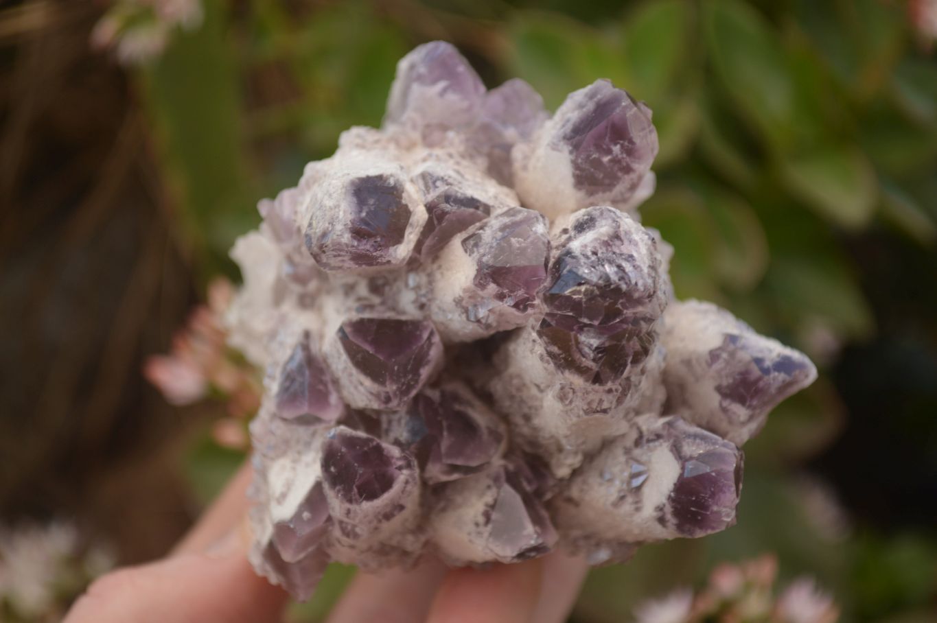 Natural Sugar Amethyst Clusters  x 4 From Solwezi, Zambia - Toprock Gemstones and Minerals 