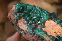 Natural Extra Large Emerald Dioptase Crystal Specimen x 1 From Likasi, Congo - Toprock Gemstones and Minerals 