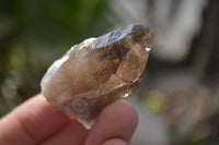 Natural Smokey Quartz Crystals x 12 From Malawi - Toprock Gemstones and Minerals 