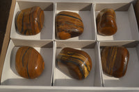 Polished Golden Tigers Eye Free Forms x 6 From Prieska, South Africa