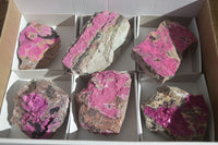 Natural Pink Salrose Cobaltion Dolomite Specimens  x 6 From Kakanda, Congo - Toprock Gemstones and Minerals 