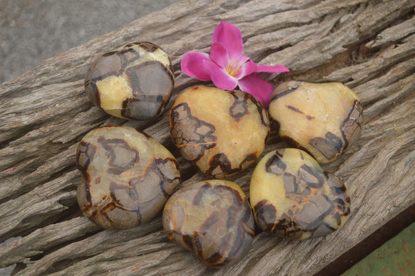Polished Septaria (Aragonite & Calcite) Hearts  x 6 From Mahajanga, Madagascar - TopRock