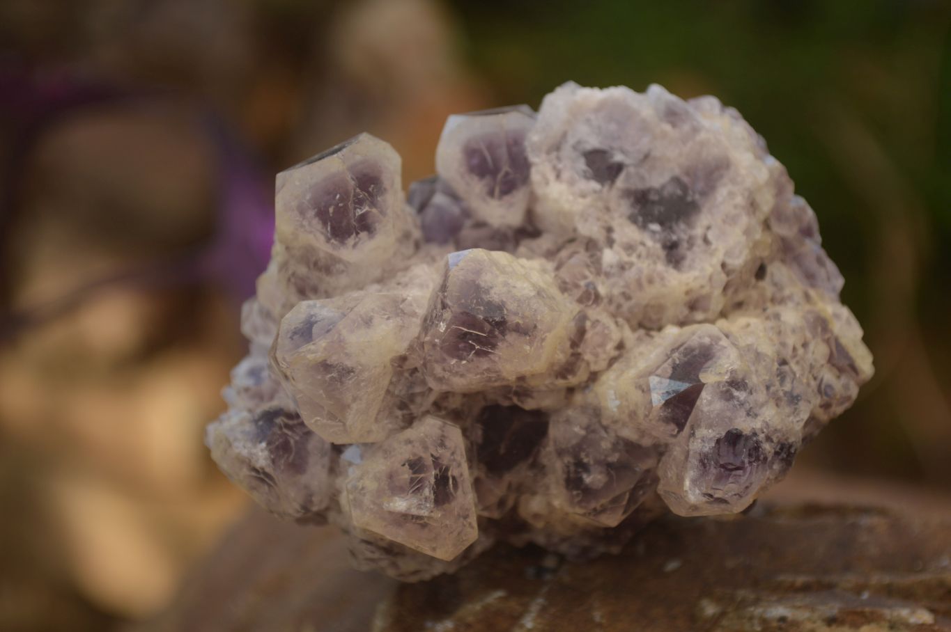 Natural Sugar Amethyst Clusters  x 4 From Solwezi, Zambia - Toprock Gemstones and Minerals 