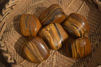 Polished Golden Tigers Eye Free Forms x 6 From Prieska, South Africa