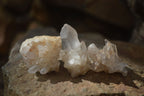Natural Small Mixed Quartz Clusters  x 35 From Madagascar - Toprock Gemstones and Minerals 