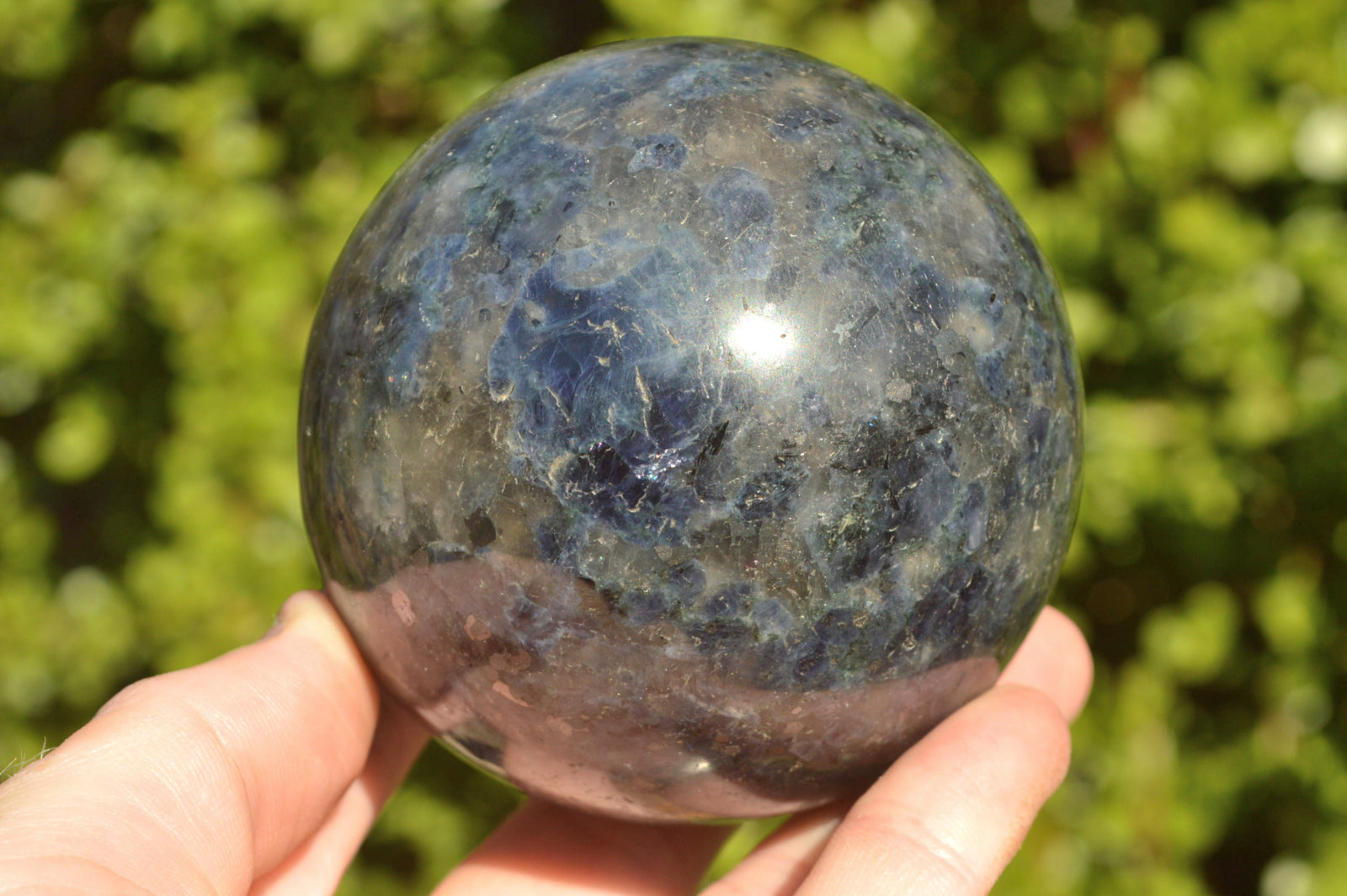 Polished Iolite Water Sapphire Spheres x 2 From Madagascar - TopRock
