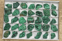 Natural Small Chatoyant Silky Malachite Specimens x 24 From Kasompe, Congo - TopRock