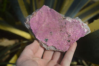 Natural Pink Salrose Cobaltion Dolomite Specimens  x 6 From Kakanda, Congo - Toprock Gemstones and Minerals 