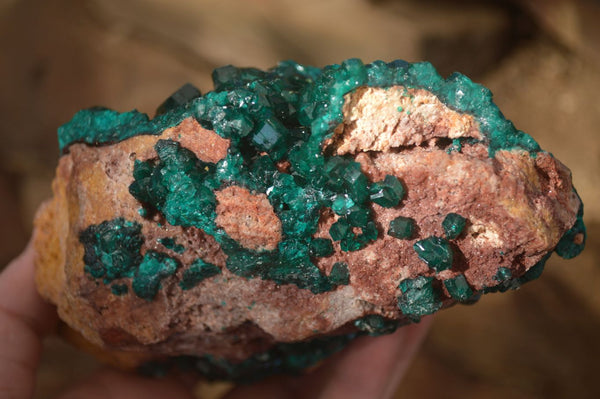 Natural Extra Large Emerald Dioptase Crystal Specimen x 1 From Likasi, Congo - Toprock Gemstones and Minerals 