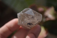 Natural Smokey Quartz Crystals x 12 From Malawi - Toprock Gemstones and Minerals 