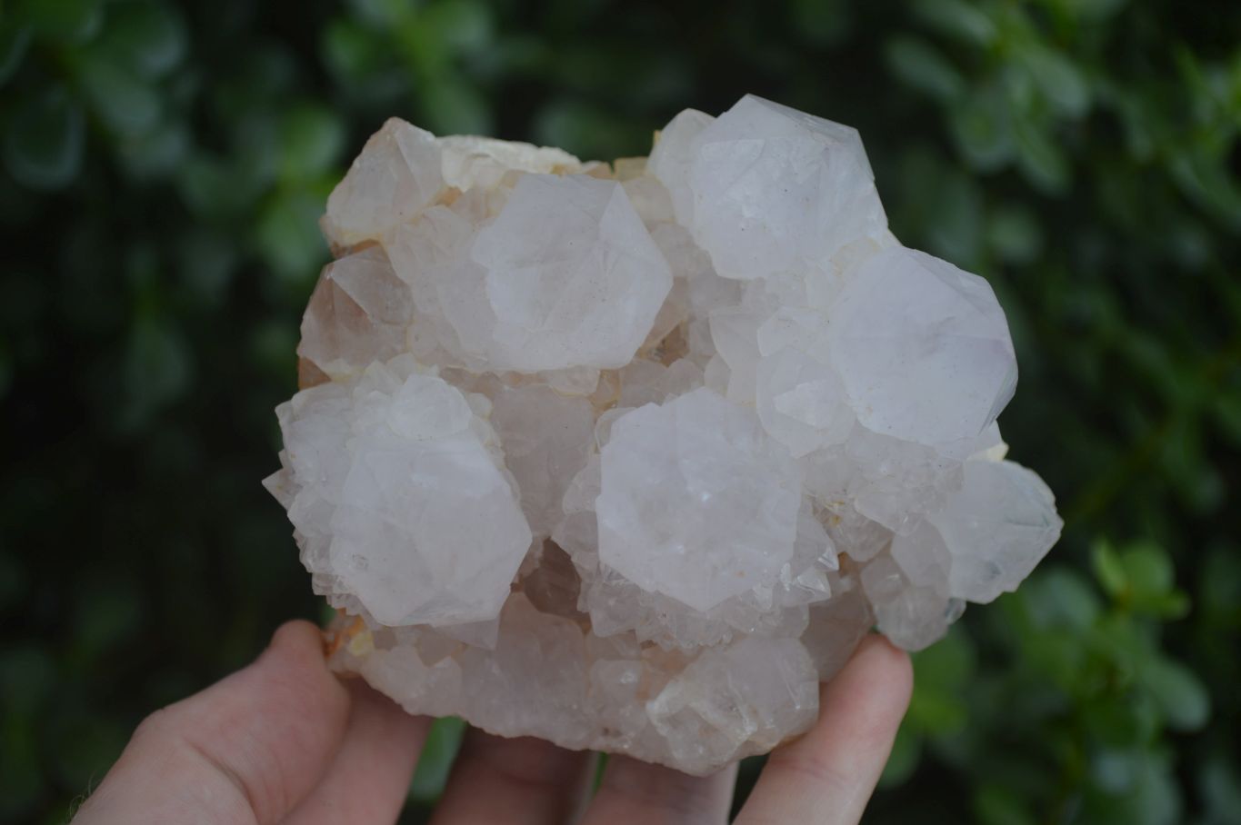 Natural White Spirit Quartz Clusters  x 2 From Boekenhouthoek, South Africa - Toprock Gemstones and Minerals 
