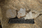 Natural Small Mixed Quartz Clusters  x 35 From Madagascar - Toprock Gemstones and Minerals 