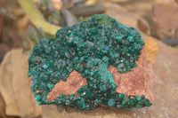 Natural Extra Large Emerald Dioptase Crystal Specimen x 1 From Likasi, Congo - Toprock Gemstones and Minerals 