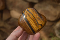 Polished Golden Tigers Eye Free Forms x 6 From Prieska, South Africa