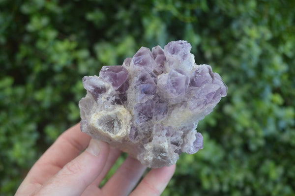 Natural Sugar Amethyst Clusters  x 5 From Zambia
