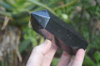 Polished Black Basalt Points  x 6 From Madagascar