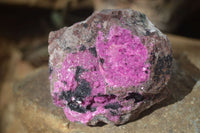 Natural Pink Salrose Cobaltion Dolomite Specimens  x 6 From Kakanda, Congo - Toprock Gemstones and Minerals 