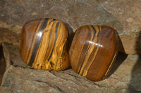 Polished Golden Tigers Eye Free Forms x 6 From Prieska, South Africa
