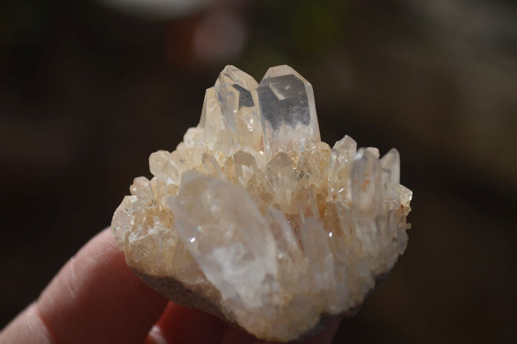 Natural Small Mixed Quartz Clusters  x 35 From Madagascar - Toprock Gemstones and Minerals 