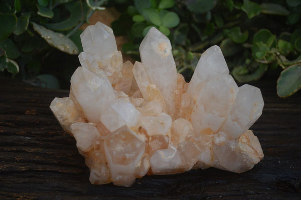 Natural Large Candle Quartz Cluster  x 1 From Madagascar