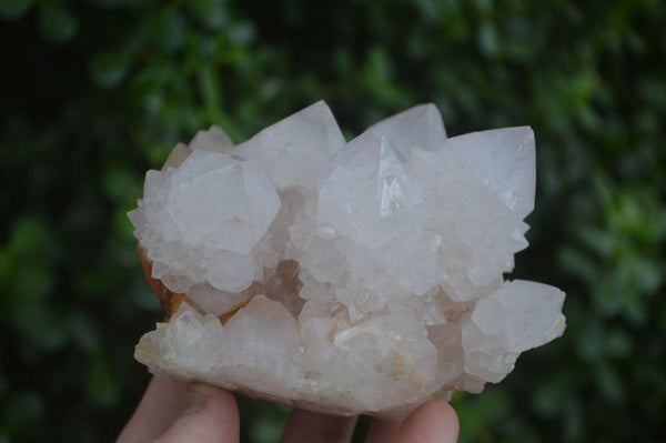 Natural White Spirit Quartz Clusters  x 2 From Boekenhouthoek, South Africa - Toprock Gemstones and Minerals 