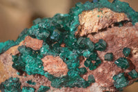 Natural Extra Large Emerald Dioptase Crystal Specimen x 1 From Likasi, Congo - Toprock Gemstones and Minerals 