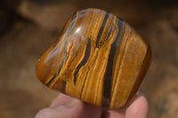 Polished Golden Tigers Eye Free Forms x 6 From Prieska, South Africa