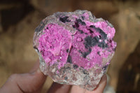 Natural Pink Salrose Cobaltion Dolomite Specimens  x 6 From Kakanda, Congo - Toprock Gemstones and Minerals 