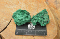 Natural Small Chatoyant Silky Malachite Specimens x 24 From Kasompe, Congo - TopRock