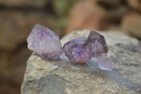 Natural Mini Amethyst Crystals  x 35 From Chiredzi, Zimbabwe - Toprock Gemstones and Minerals 