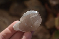 Natural Smokey Quartz Crystals x 12 From Malawi - Toprock Gemstones and Minerals 