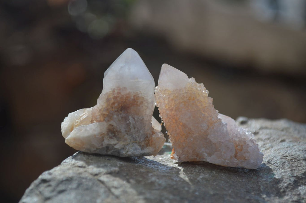 Natural Mixed Spirit Quartz Crystals x 70 From Boekenhouthoek, South Africa - Toprock Gemstones and Minerals 