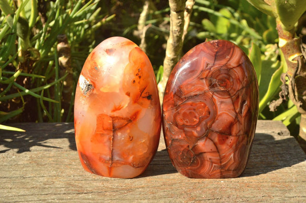 Polished Vibrant Red & Orange Carnelian Agate Standing Free Forms x 3 From Madagascar - TopRock