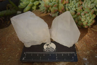 Natural Large Clear / White Quartz Crystals  x 12 From Madagascar - Toprock Gemstones and Minerals 