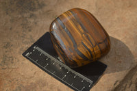 Polished Golden Tigers Eye Free Forms x 6 From Prieska, South Africa