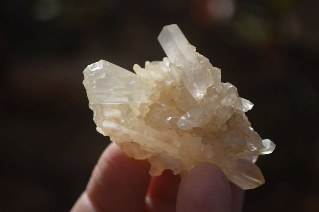Natural Small Mixed Quartz Clusters  x 35 From Madagascar - Toprock Gemstones and Minerals 