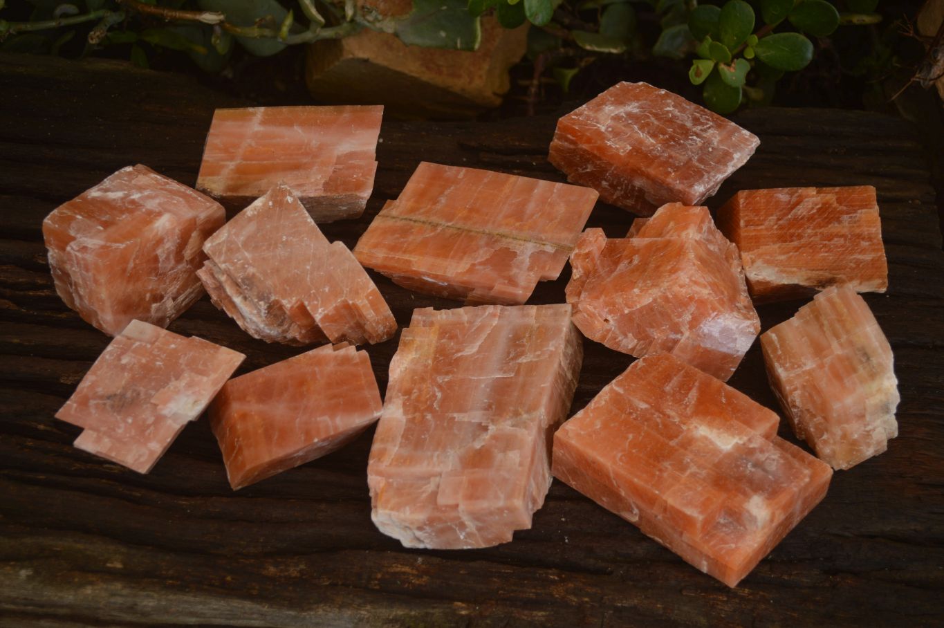 Natural New Sunset Orange Calcite Specimens  x 12 From Spitzkop, Namibia - Toprock Gemstones and Minerals 