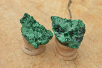 Natural Small Chatoyant Silky Malachite Specimens x 24 From Kasompe, Congo - TopRock