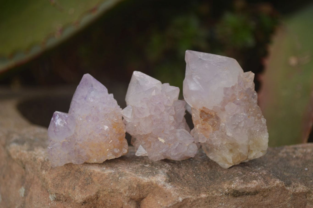Natural Small Spirit Amethyst Quartz Crystals x 70 From Boekenhouthoek, South Africa - Toprock Gemstones and Minerals 