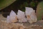 Natural Small Spirit Amethyst Quartz Crystals x 70 From Boekenhouthoek, South Africa - Toprock Gemstones and Minerals 
