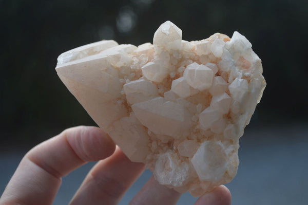 Natural Candle Quartz Crystal Formations  x 8 From Madagascar