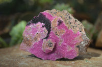 Natural Pink Salrose Cobaltion Dolomite Specimens  x 6 From Kakanda, Congo - Toprock Gemstones and Minerals 