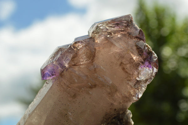 Natural Large Single Amethyst Window Quartz Crystals x 6 From Chiredzi, Zimbabwe - TopRock