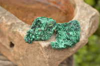 Natural Small Chatoyant Silky Malachite Specimens x 24 From Kasompe, Congo - TopRock