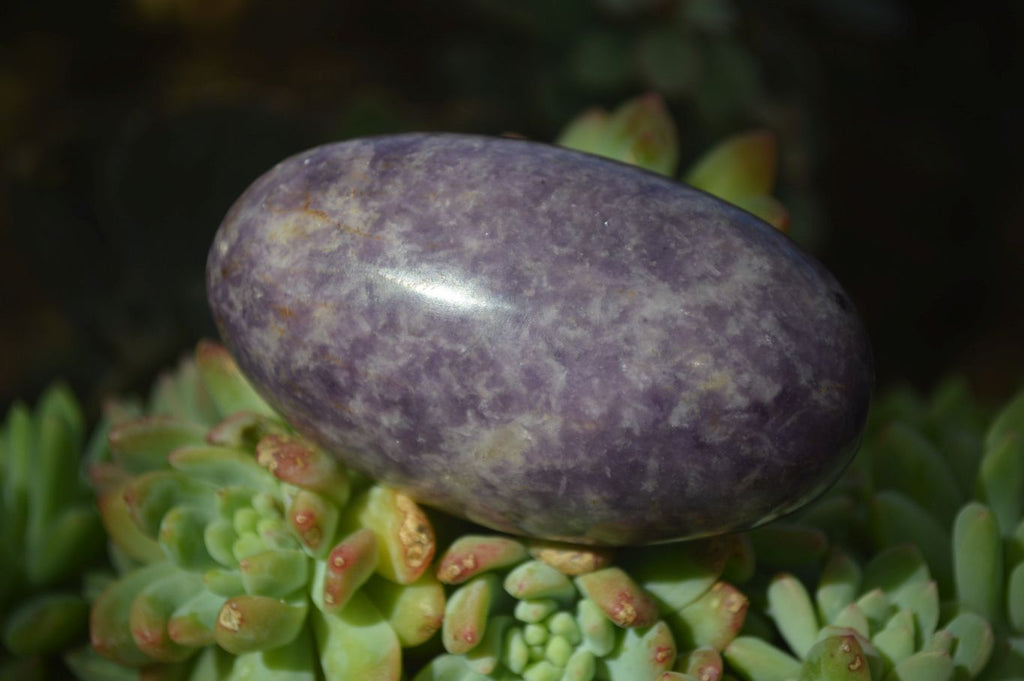 Polished Purple Lepidolite Free Forms  x 6 From Zimbabwe - Toprock Gemstones and Minerals 