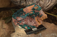 Natural Extra Large Emerald Dioptase Crystal Specimen x 1 From Likasi, Congo - Toprock Gemstones and Minerals 