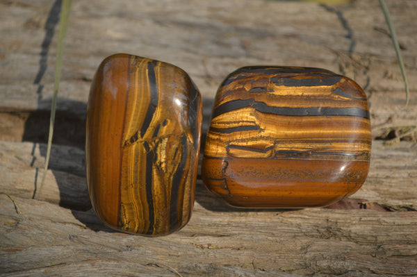 Polished Golden Tigers Eye Free Forms x 6 From Prieska, South Africa