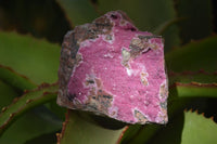 Natural Pink Salrose Cobaltion Dolomite Specimens  x 6 From Kakanda, Congo - Toprock Gemstones and Minerals 
