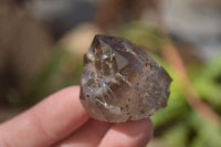 Natural Smokey Quartz Crystals x 12 From Malawi - Toprock Gemstones and Minerals 